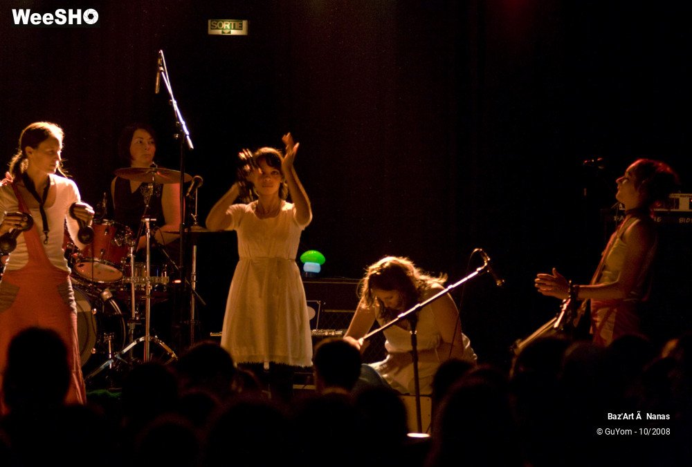 21/30 photos du spectacle Baz'Art à Nanas